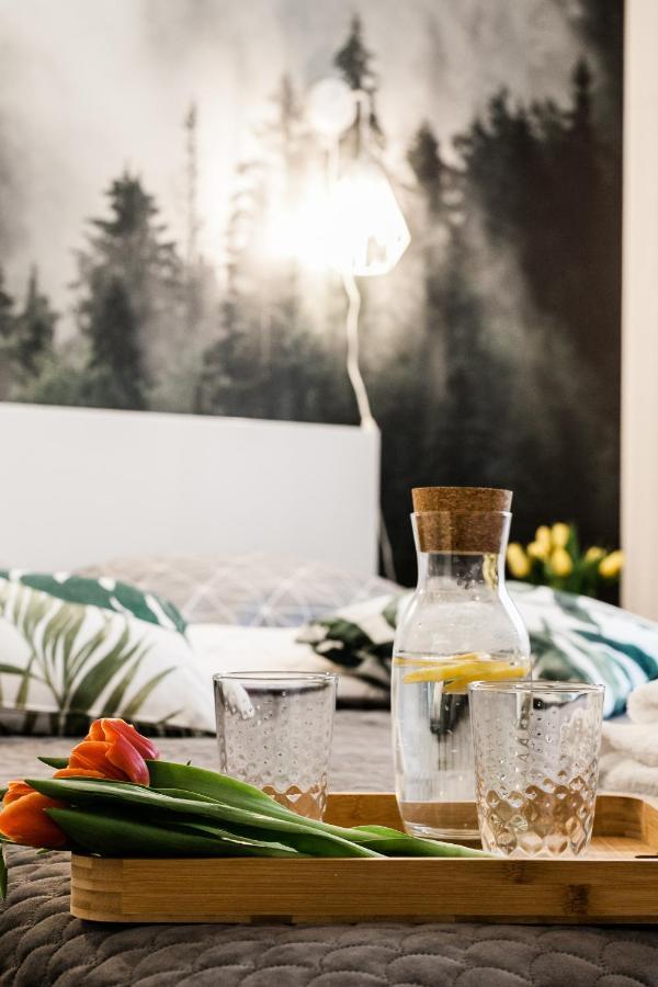 Apartament Rezydencja Vintage No1 Olsztyn  Kültér fotó